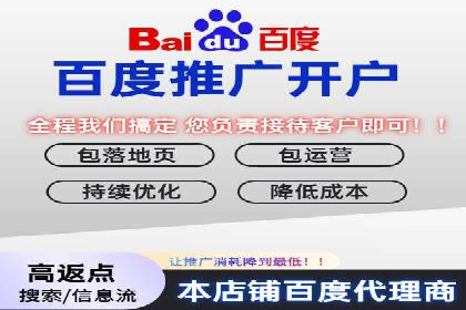 企业SEM托管代运营实战案例